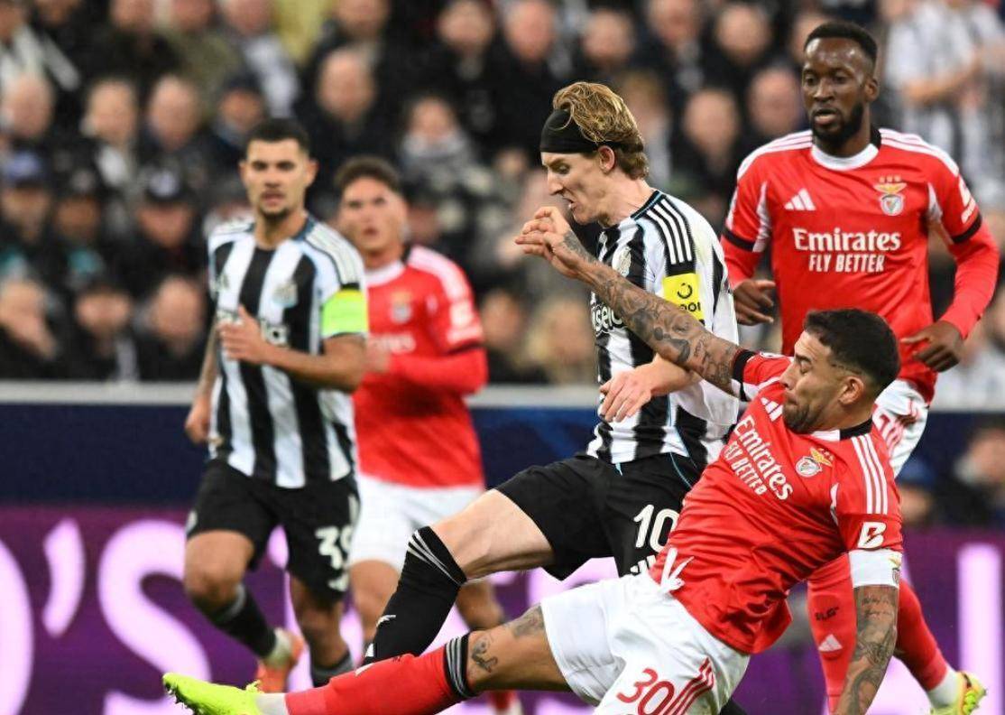 离谱！北京国安围绕欧篮联战术微调上海海港围绕意大利杯造点机会，本菲卡远射贴柱备战法国杯的简单介绍星空体育官方网站